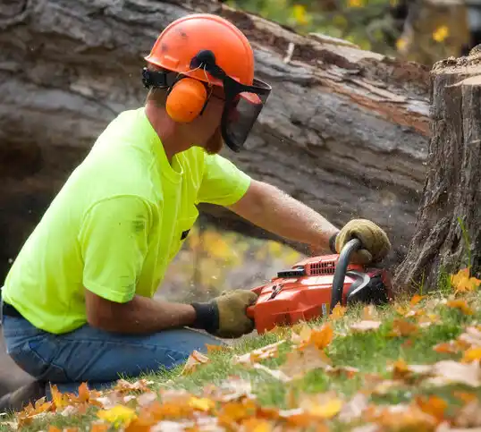 tree services Blue Mountain